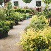 Chepstow Garden Centre