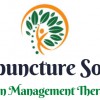 Acupuncture Solasta