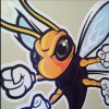 West London Pest Control