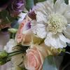 Floral Moments