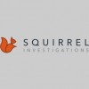 Squirrel Investigations