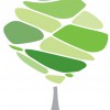 Duncan Chartered Accountants