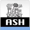 Ash Chimney Services