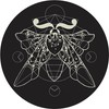 Drawn By The Light Design UK