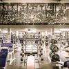 Monster Gymnasium