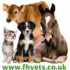 Forest House Vets