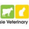 Campsie Veterinary Centre
