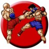 Crawley Martial Arts Academy