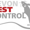 Devon Pest Control