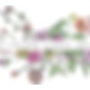 Living Colour Floral Design