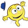 Mr Bouncy Castle
