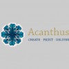 Acanthus Press