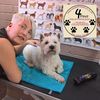 4 Paws Dog Grooming Salon