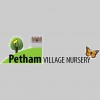 Petham Village Nursery
