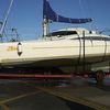 Coates Marine