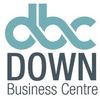 Down Business Centre