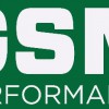 GSM Performance