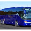 Thandi Coaches