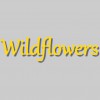 Wildflowers