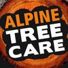 Alpine Tree Care