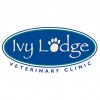 Ivy Lodge Veterinary Clinic