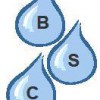 Bravo Specialist Cleaning