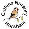 Catkins Nursery School