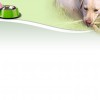 Pet Place