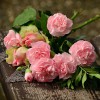 Bakers Funeral Services