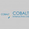 Cobalt Interactive