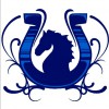 Great Bookham Equestrian Centre