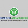 Domestic Ambassadors