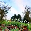 Huntstile Organic Farm Weddings