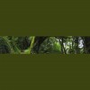 Sandra Hebron Counselling & Psychotherapy