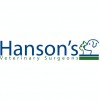 Hansons Vets