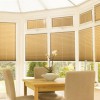 JT Blinds