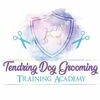 Tendring Dog Grooming Training Academy