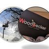 Woodpecker Trees