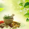 Pranava Kerala Massage Centre