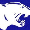 Panther Scaffolding