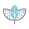 Blue Fruit Software