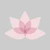 Lotus Clinic