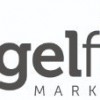 Angelfish Marketing