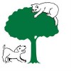 Hawthorn Veterinary Surgery