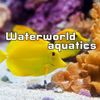 Waterworld Aquatics