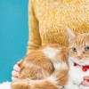 Gladstone Veterinary Clinic
