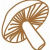 Mushroom Marketing