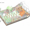 Alistair Paul Garden Design