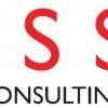 Intelligent Structural Solutions