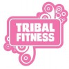 Tribal Fitness Bootcamps